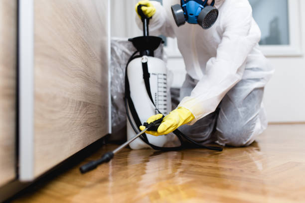 Best Pest Control Near Me  in Percy, IL
