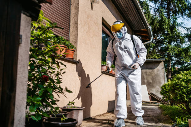 Best Wasp Removal Services  in Percy, IL