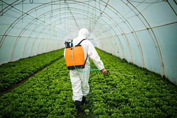 Best Residential Pest Control  in Percy, IL