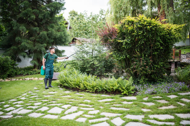 Best Wildlife Control Services  in Percy, IL