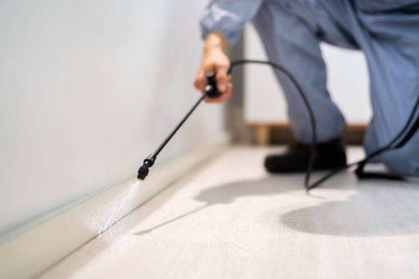 Pest Control Cost in Percy, IL