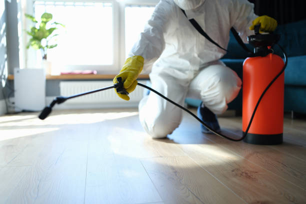 Best Flea Control Services  in Percy, IL