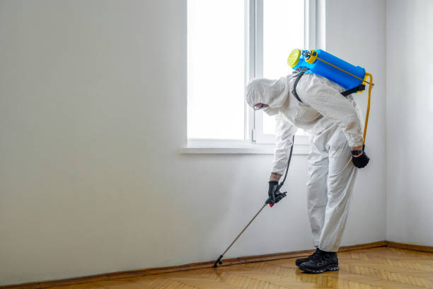 Best Local Pest Control Services  in Percy, IL