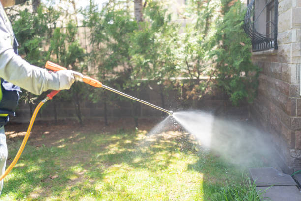 Best Pest Inspection Near Me  in Percy, IL