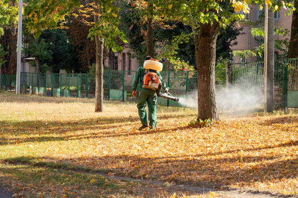 Best Wildlife Control Services  in Percy, IL