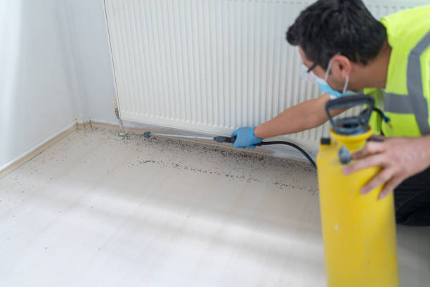 Best Cockroach Control Services  in Percy, IL